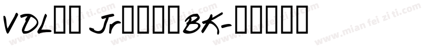 VDLロゴ JrブラックBK字体转换